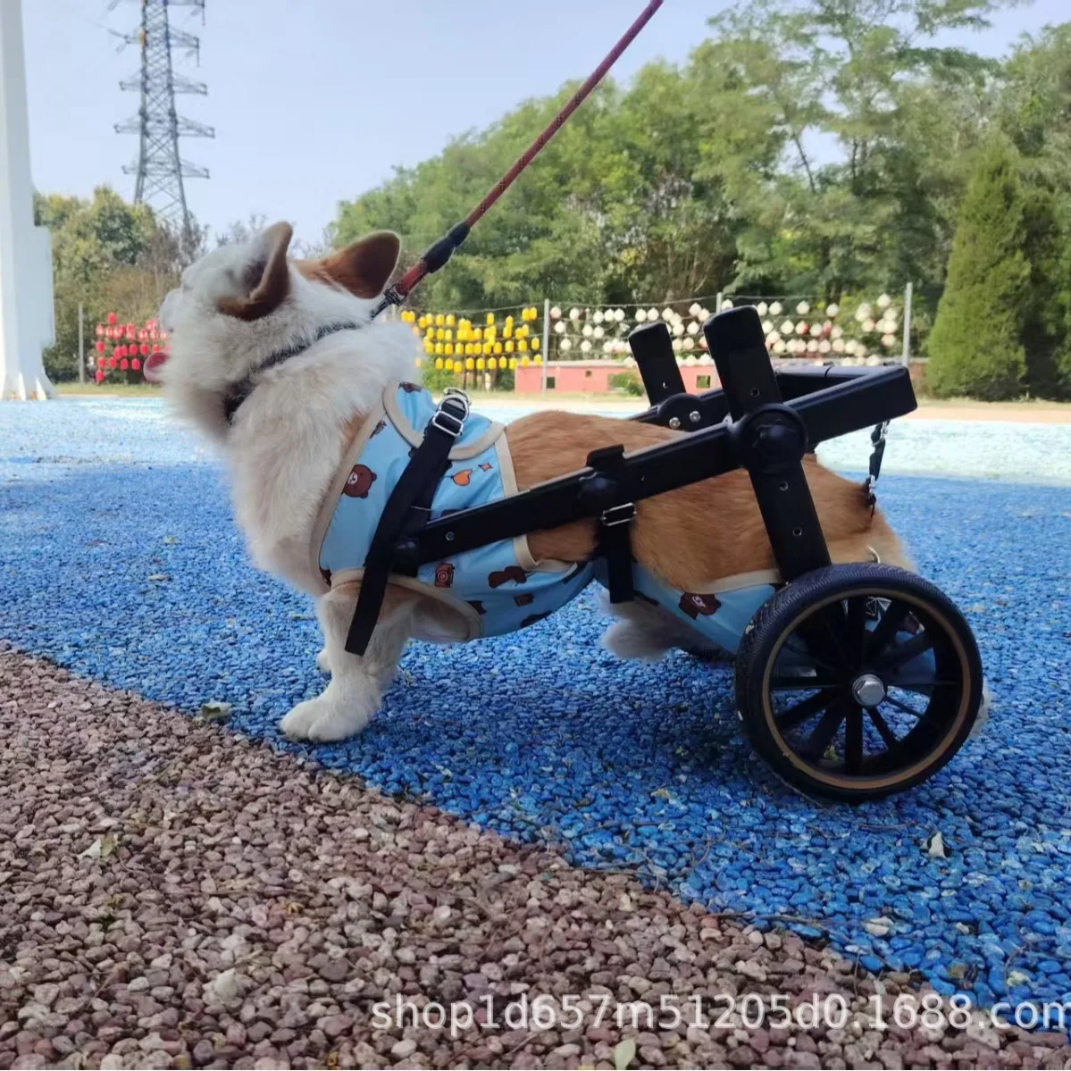 Nueva silla de ruedas para perros, silla de ruedas para gatos, mejora retráctil, ligera, asistencia para mascotas, actualización de coche, suministros para perros