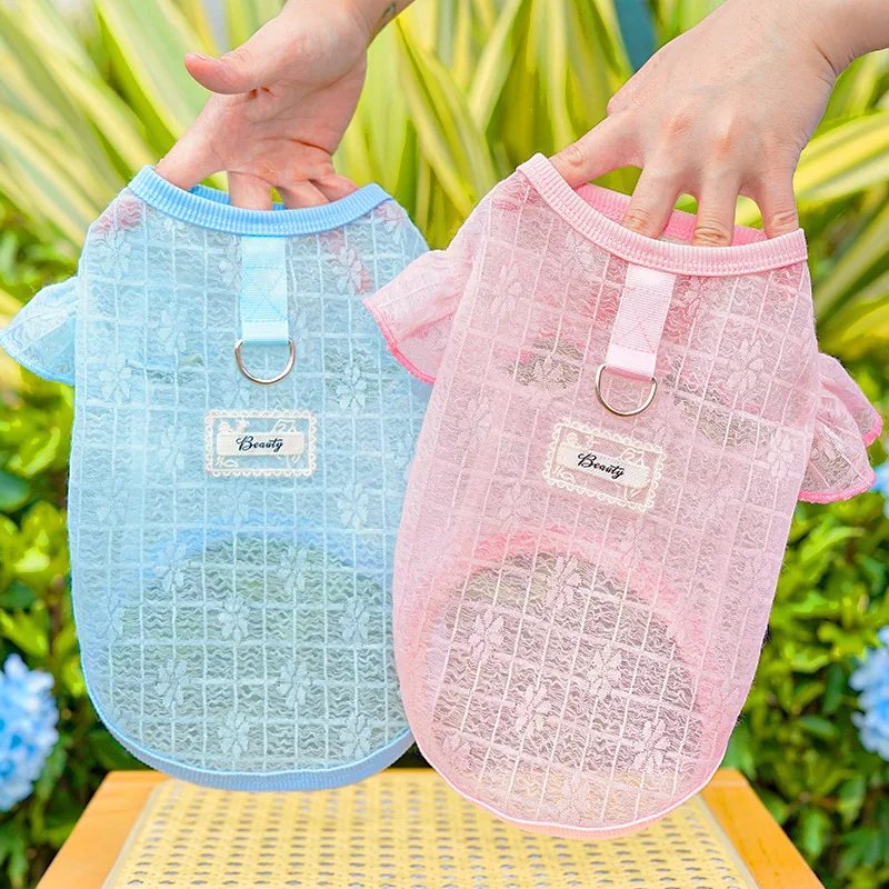 Ropa refrescante para perros, sudaderas con capucha transparentes en azul y rosa para perros pequeños, Chihuahua, Yorks, sudadera con manga voladora para cachorros, camiseta XS