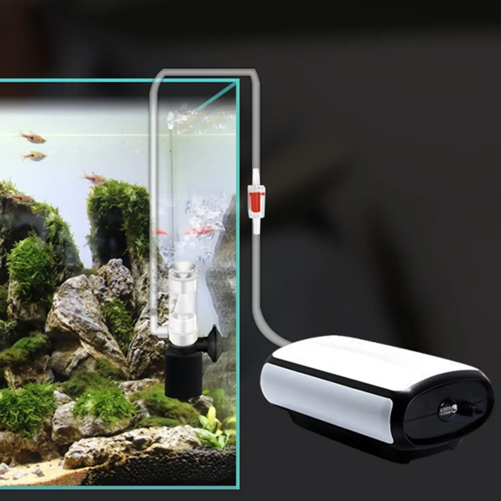 Aquarium Filter Mini Easy Maintenance Tank Filter for Fish Tank Oxygenation