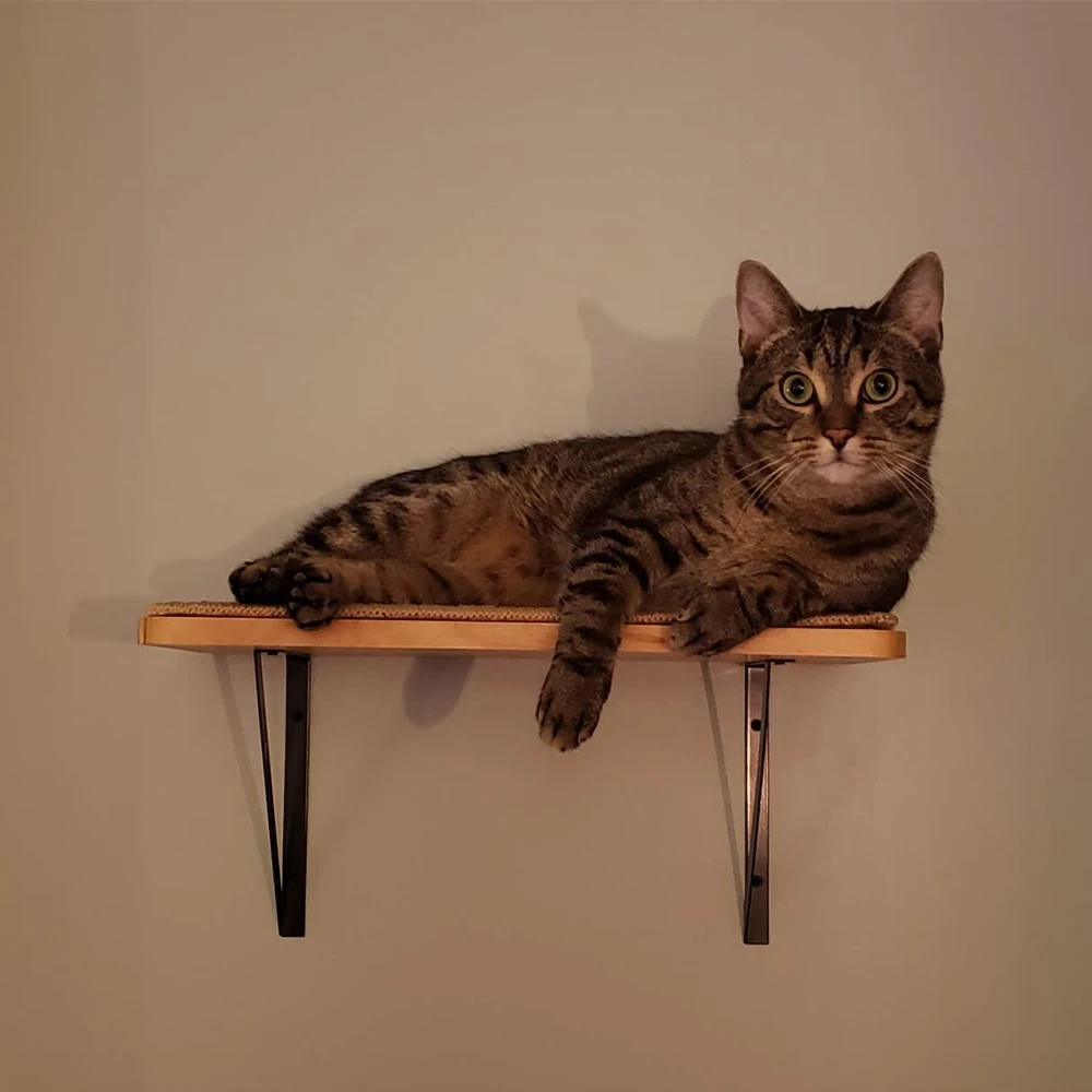 Estantes de pared para gatos con poste rascador, escalones de escalada, paredes de madera para gatos, muebles para gatos durmiendo, rascador y exploración - imagen 3