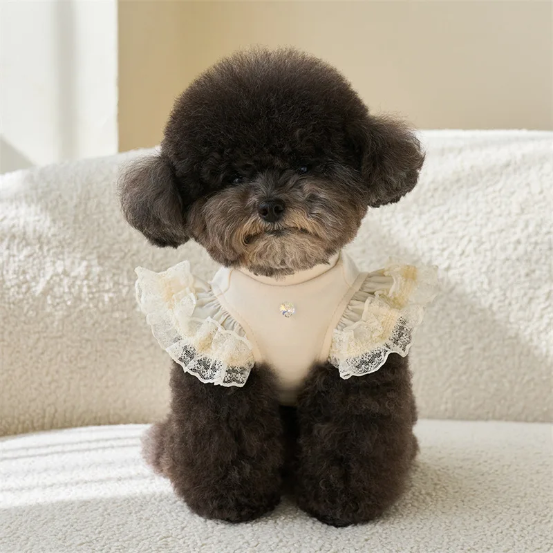 Camisa inferior de manga voladora de encaje para primavera para mascotas, camiseta sin mangas colorida bonita, camiseta inferior de peluche para mascotas, camiseta para gatos, ropa para cachorros - imagen 2