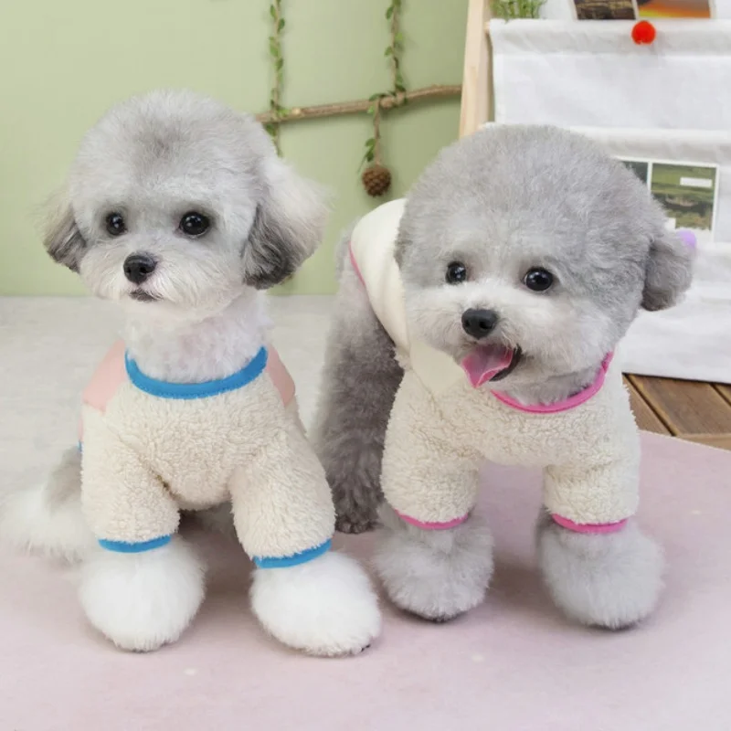 Otoño sudaderas con capucha para perros con anillo en D moda nueva ropa para perros estampado de dibujos animados sudaderas con capucha para cachorros cálido suave jerseys para gatos Chihuahua trajes para mascotas - imagen 4