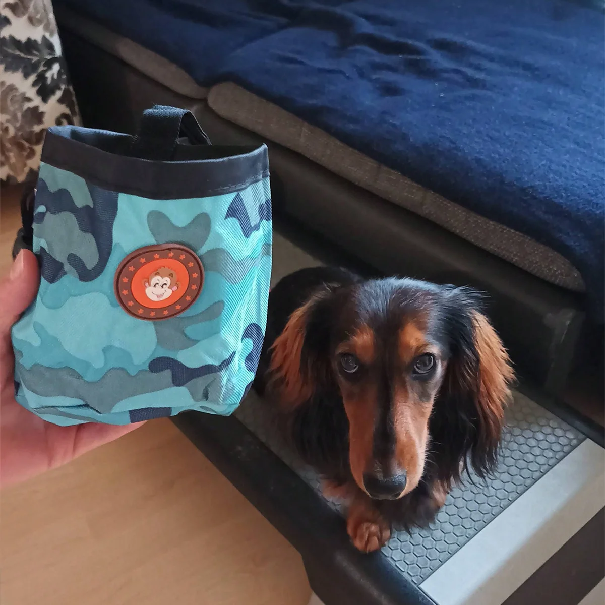 Bolsa de entrenamiento para perro, riñonera portátil con hebilla elástica ajustable para comida de perro - imagen 5