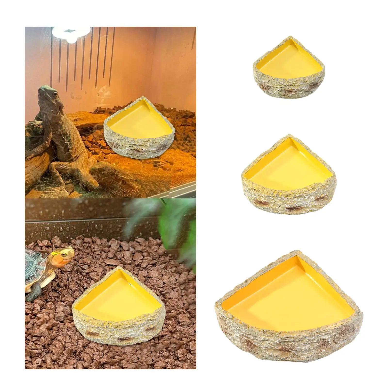 Reptile Water Dish Reptile Feeder Feeding Bowl Food Dish for Leopard Gecko Bearded Dragon