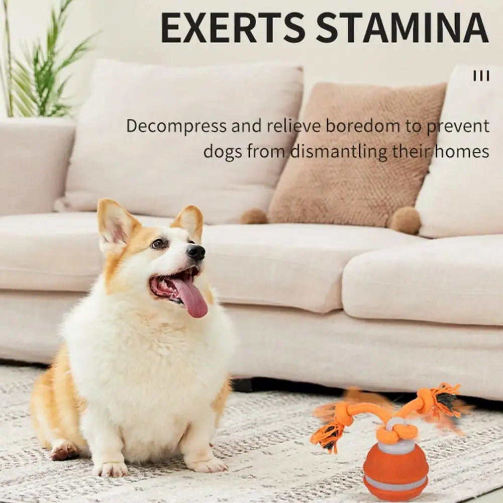 Pelota interactiva para perros con cuerda y movimiento en interiores - imagen 3