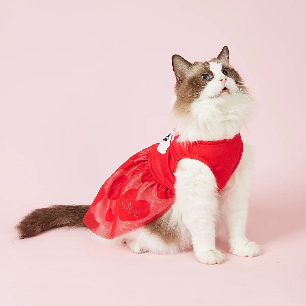 Vestido para perros pequeños, disfraz de besos con estampado de corazón, ropa para cachorros con tul, ropa cómoda para perros y gatos, ropa de San Valentín - imagen 4