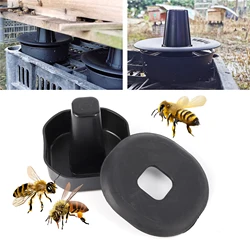 Soporte exterior antimanchas para colmenas – Base antihormigas plástico