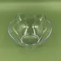 transparent  bowl