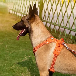 Chaleco con arnés reflectante para perros – Seguridad en paseos