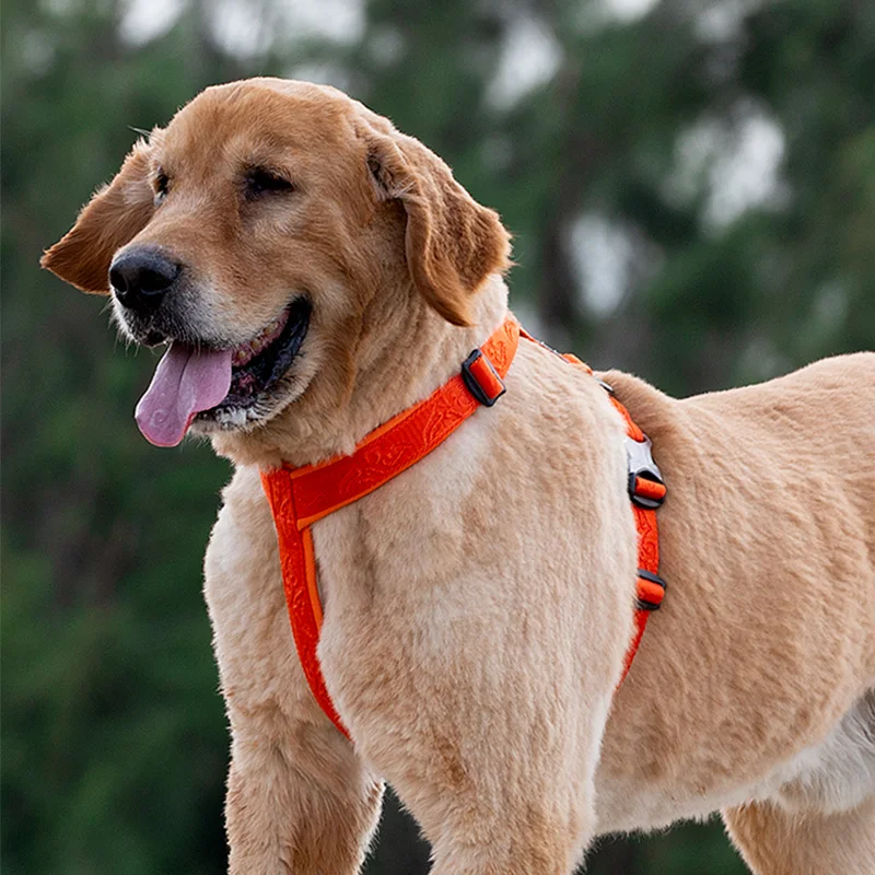 Winhyepet-arnés para perros, correas de tela sin tirar hacia atrás, accesorios antideslizantes, arnés para perros grandes, cachorros pequeños y medianos - imagen 4