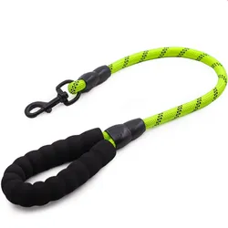 Correa reflectante para Golden Retriever y perros grandes
