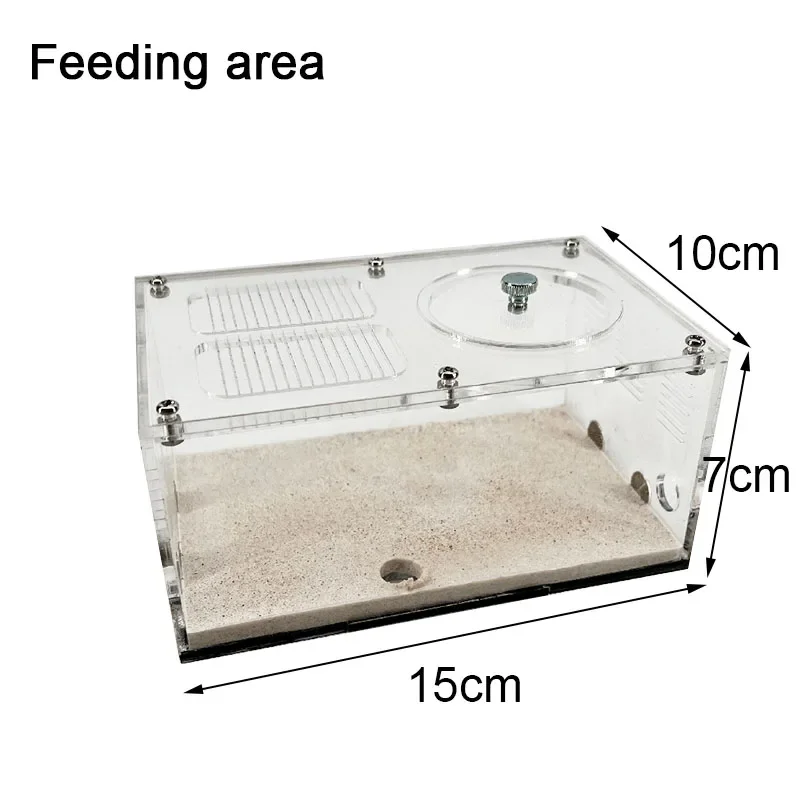Feeding area