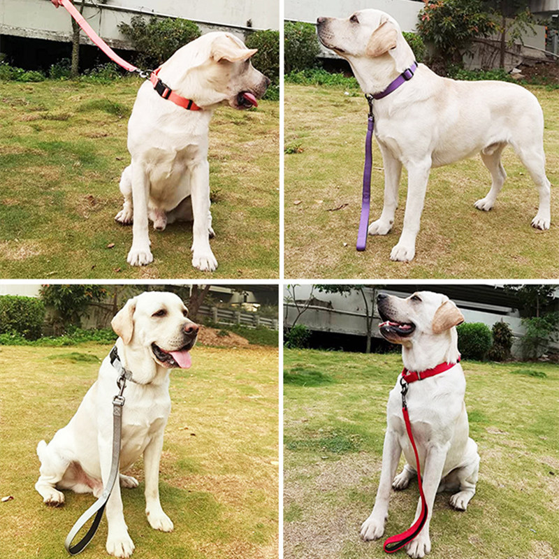 Mango cómodo de la correa de nailon para perros