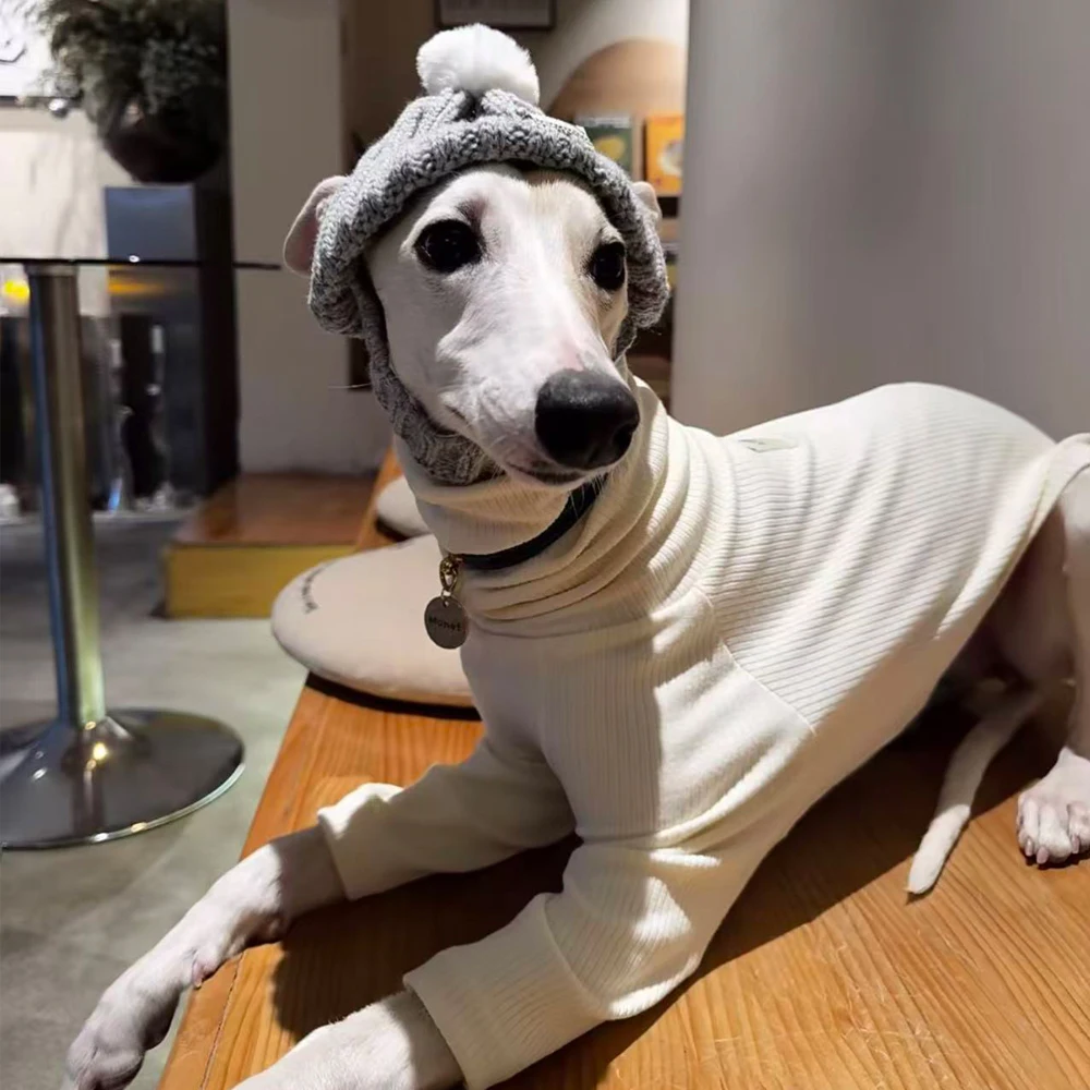 Camiseta manga larga para galgo italiano y whippet – Estilo japonés - imagen 5
