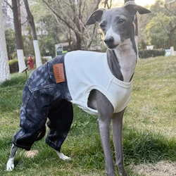 Ropa vaquera de una pieza a la moda para galgo italiano, ropa para perros de alta elasticidad con pantalones en verano para Terrier Whipbit
