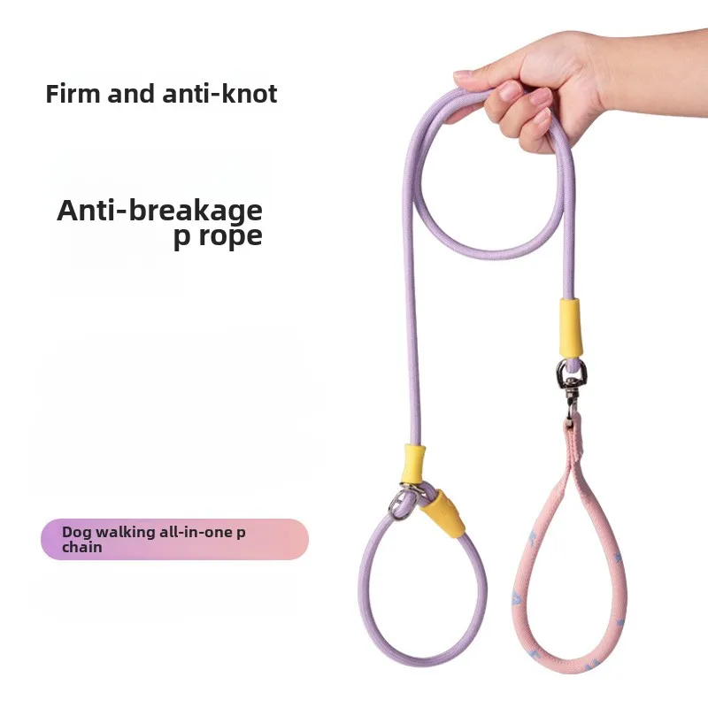 Collar de perro con cadena P para caminar, Collar ajustable para perros, collares adecuados para mascotas, arnés de nailon para perros, cuerda de entrenamiento para cachorros, suministros para mascotas - imagen 3