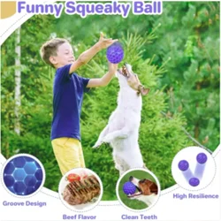Pelota de goma natural para perros: limpia dientes y aguanta mordidas