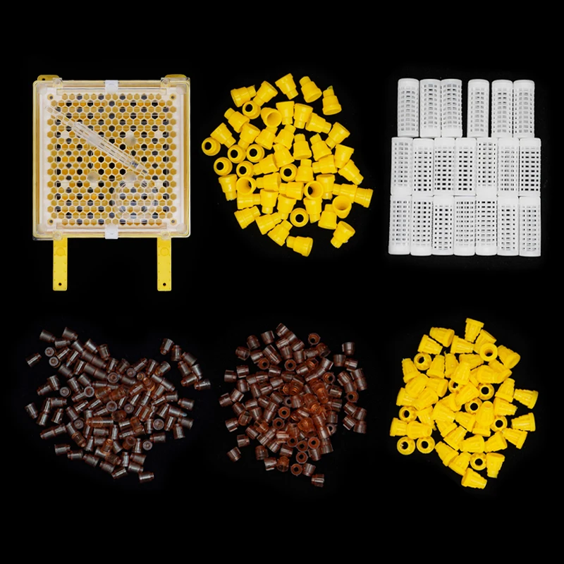 1 Juego de Kit de cría de abejas reina, Jenter alemán, tazas de células de abeja, jaula de movimiento de Larva, suministros de cría de apicultura