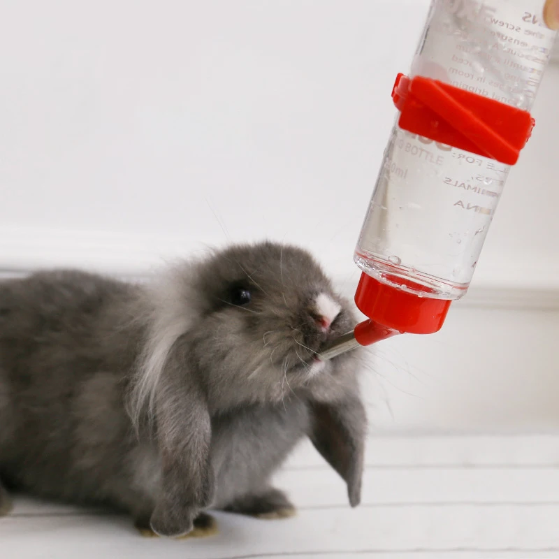 Bebedero de plástico para hámster, dispensador de agua con gran capacidad para mascotas, con cuentas enrollables a prueba de fugas, para conejos y hámsteres - imagen 2