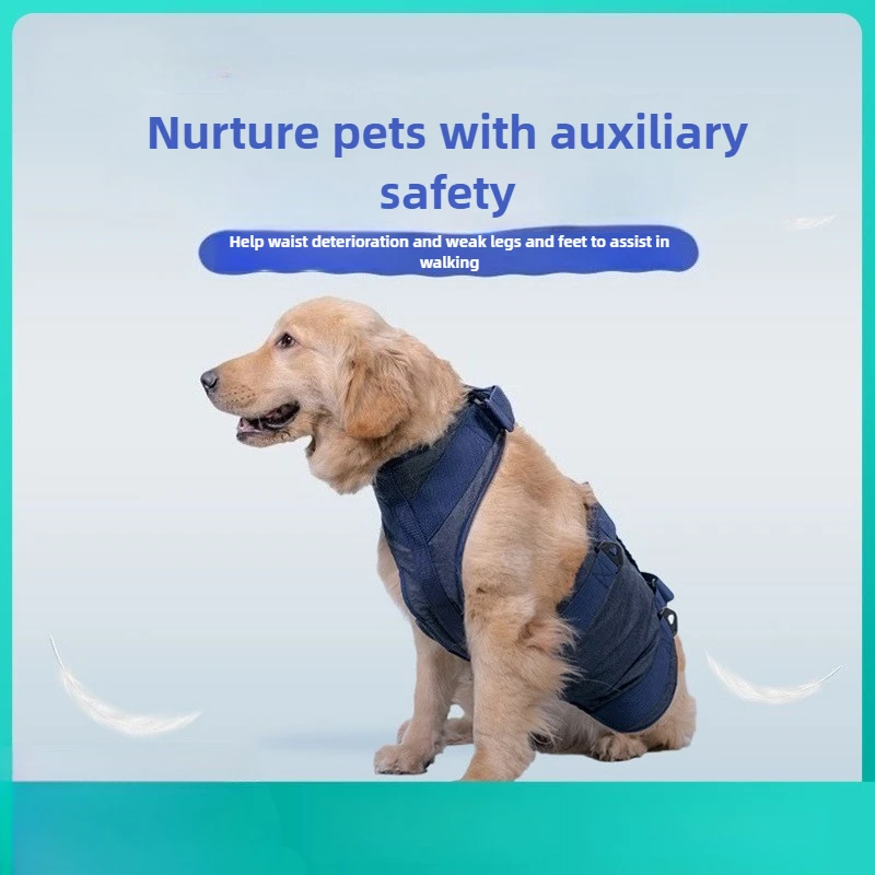 Correa para mascotas, correa para el pecho asistida a mano para caminar para perros mayores, ropa auxiliar para perros, productos para mascotas