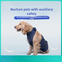 Correa de pecho para perros mayores – Reforzada y cómoda
