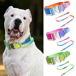 Collar y correa entrenamiento para perros grandes Dogo Argentino y Doberman
