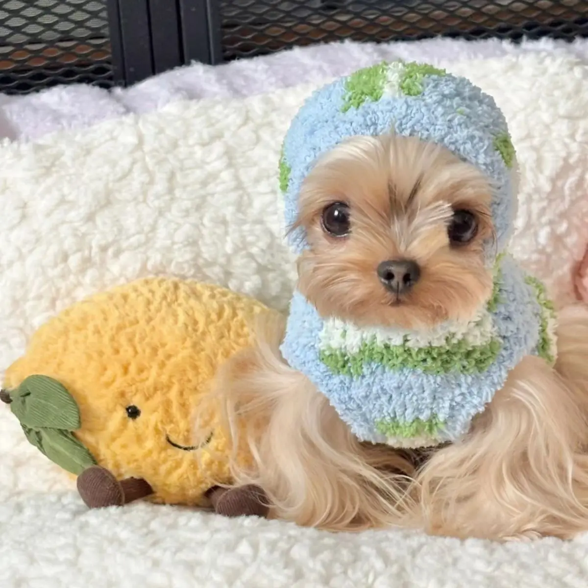 Sudadera con capucha a rayas para mascotas, suéter para gatos, chaleco de invierno, oso de peluche, Yorkshire, ropa para perros pequeños para mascotas, ropa cálida para cachorros