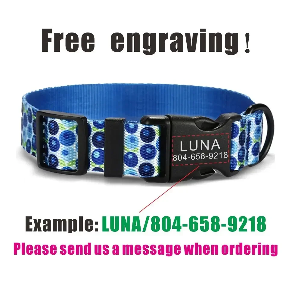 Collar de perro personalizado con grabado gratuito, correa para mascotas a juego, hebilla de contactos personalizados, Collar para mascotas de gato de arándanos - imagen 4