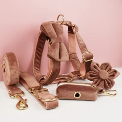 Collar y correa de terciopelo rosa para perros con placa grabada