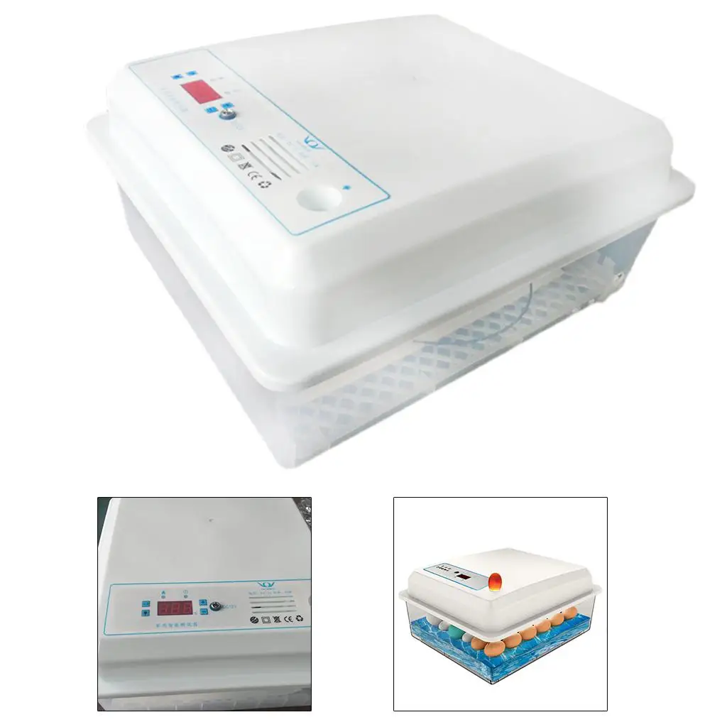 Incubadora automática de huevos de aves de corral, Control automático de temperatura y humedad para pollos, patos, uso familiar - imagen 5