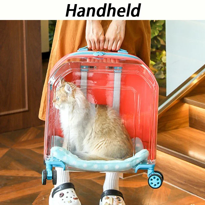 Cochecito transparente para gatos, 4 ruedas, cochecito de transporte barato y resistente, cubierta de carrito para gatos y cachorros, suministros de lujo para mascotas al aire libre - imagen 2