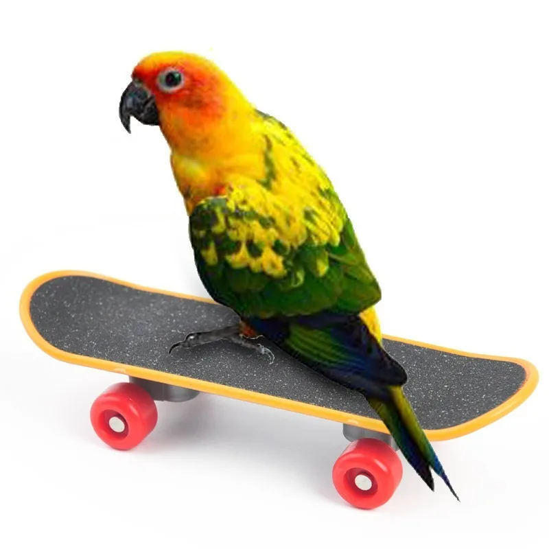 Mini monopatín para loros, juguete para pájaros, carrito de entrenamiento antideslizante esmerilado, pegatina de tendencia portátil firme, Color aleatorio - imagen 2