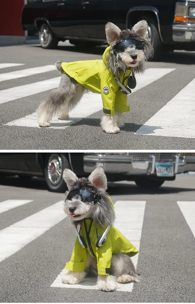 Chaqueta de lluvia para mascotas, ropa de otoño e invierno para perros, abrigo a prueba de viento, chaqueta con capucha para perros para clima frío, ropa de exterior de dos patas para mascotas - imagen 4