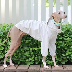 Impermeable con capucha para Galgo Italiano y Whippet – Protección UV verão