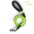 Green Leash