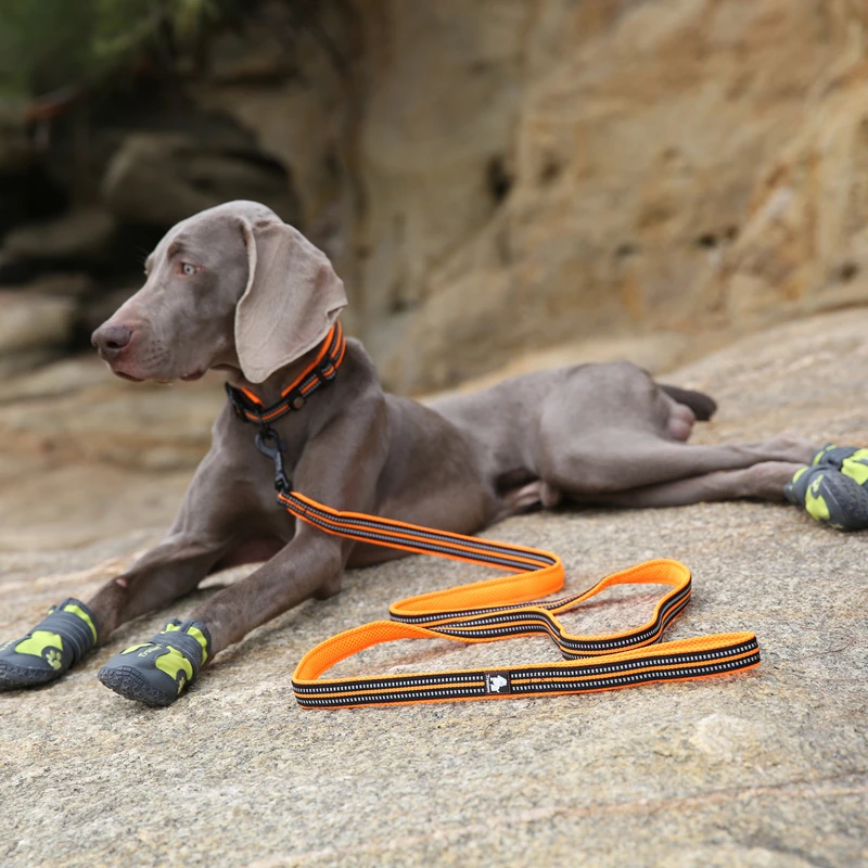 Winhyepet Correa de nailon para perros con cómodo mango acolchado, correa duradera para entrenamiento resistente para perros pequeños, medianos y grandes - imagen 5