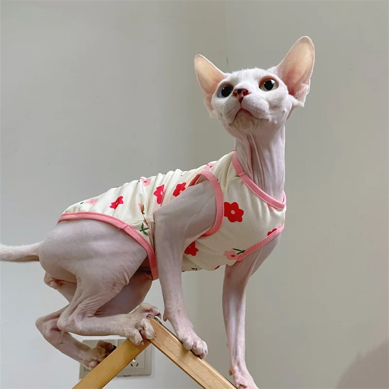 1 pieza 2 pieza 5 tela Tela cool Sphynx ropa de gato gatito cachorro camiseta de dibujos animados Devin Rex verano suave chaleco de dinosaurio verde - imagen 4