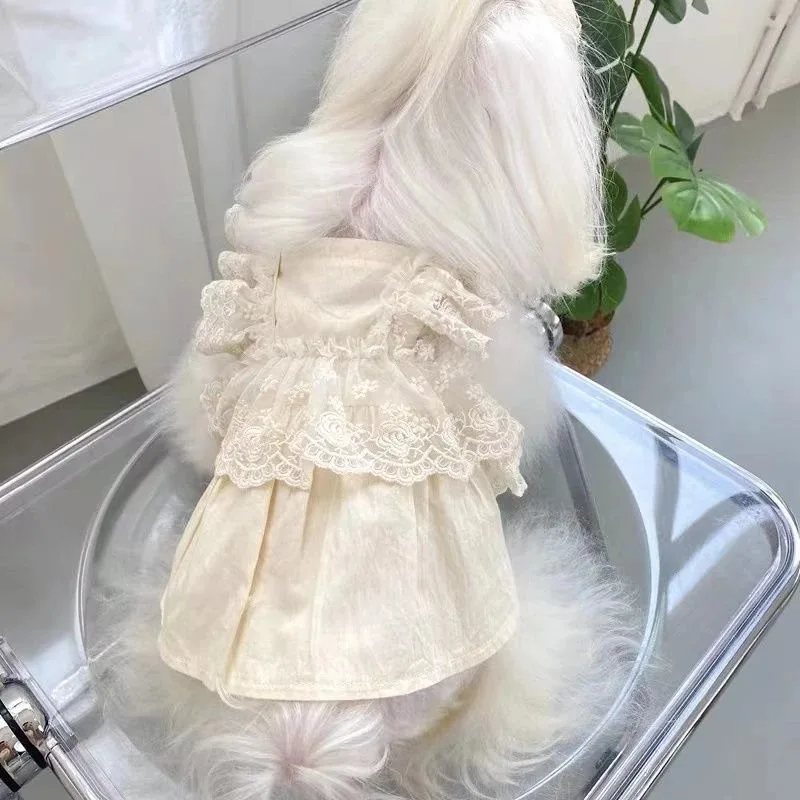 Vestido de encaje para mascotas, primavera y otoño, chaleco de encaje de peluche para perros pequeños, vestidos finos para perros y gatos, ropa para cachorros pequeños - imagen 4