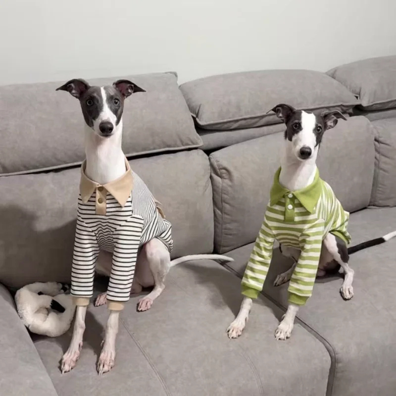 Polo de rayas verdes para Huibit, abrigo de algodón elástico suave para primavera y otoño para Bedlington Terrier, ropa de descanso para perros medios, galgo - imagen 4