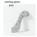 Gray Spoon
