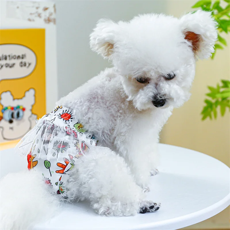 Un pequeño perro blanco con pañal