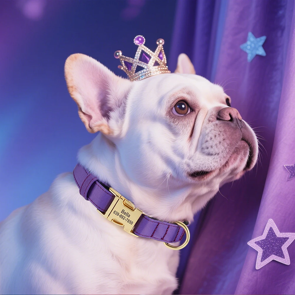 Collar de perro personalizado, collares de nailon impermeables para perros, Collar acolchado suave para mascotas, grabado gratis para perros pequeños, medianos y grandes Pitbull - imagen 5