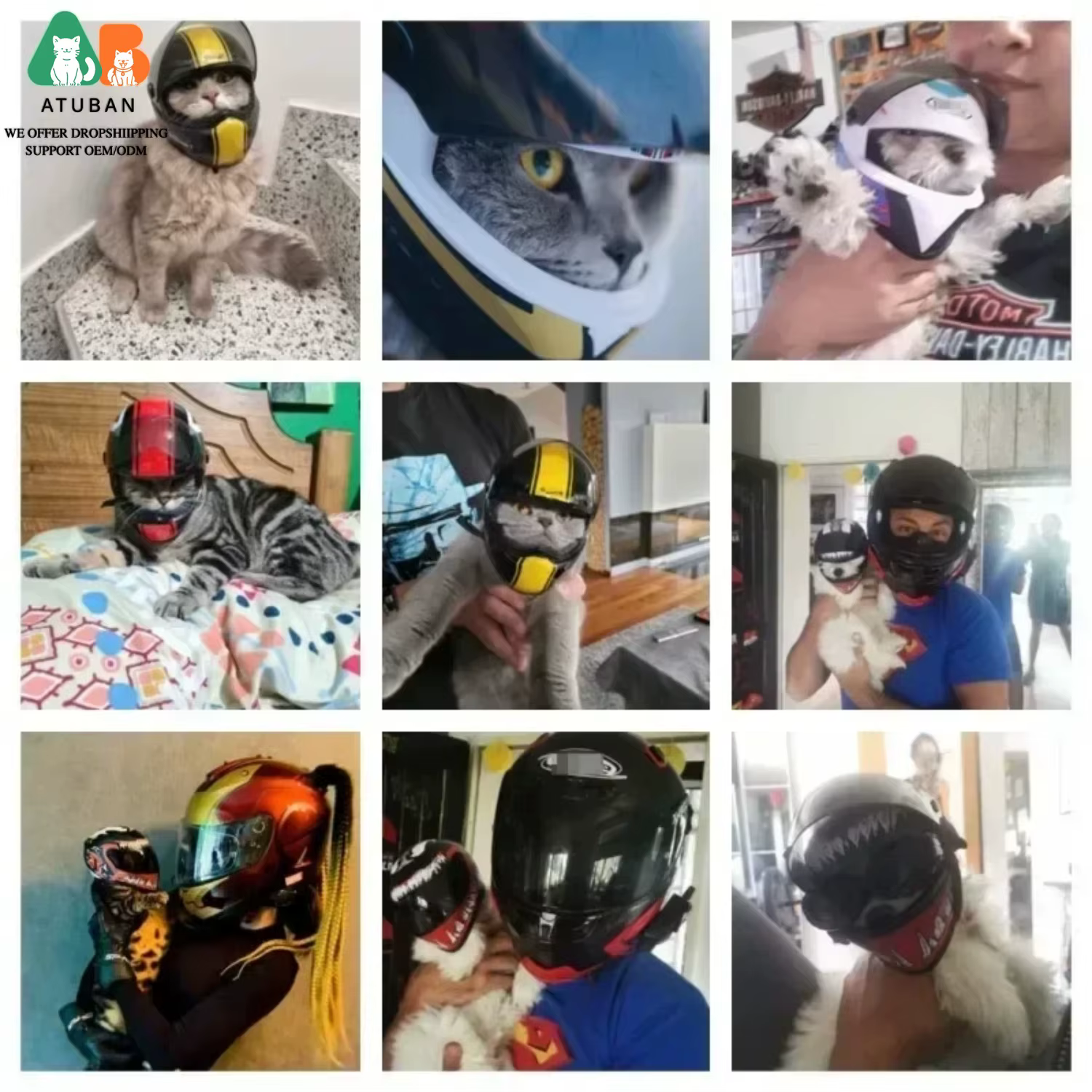 Casco Moto para Perros y Gatos – Accesorio Original - imagen 5