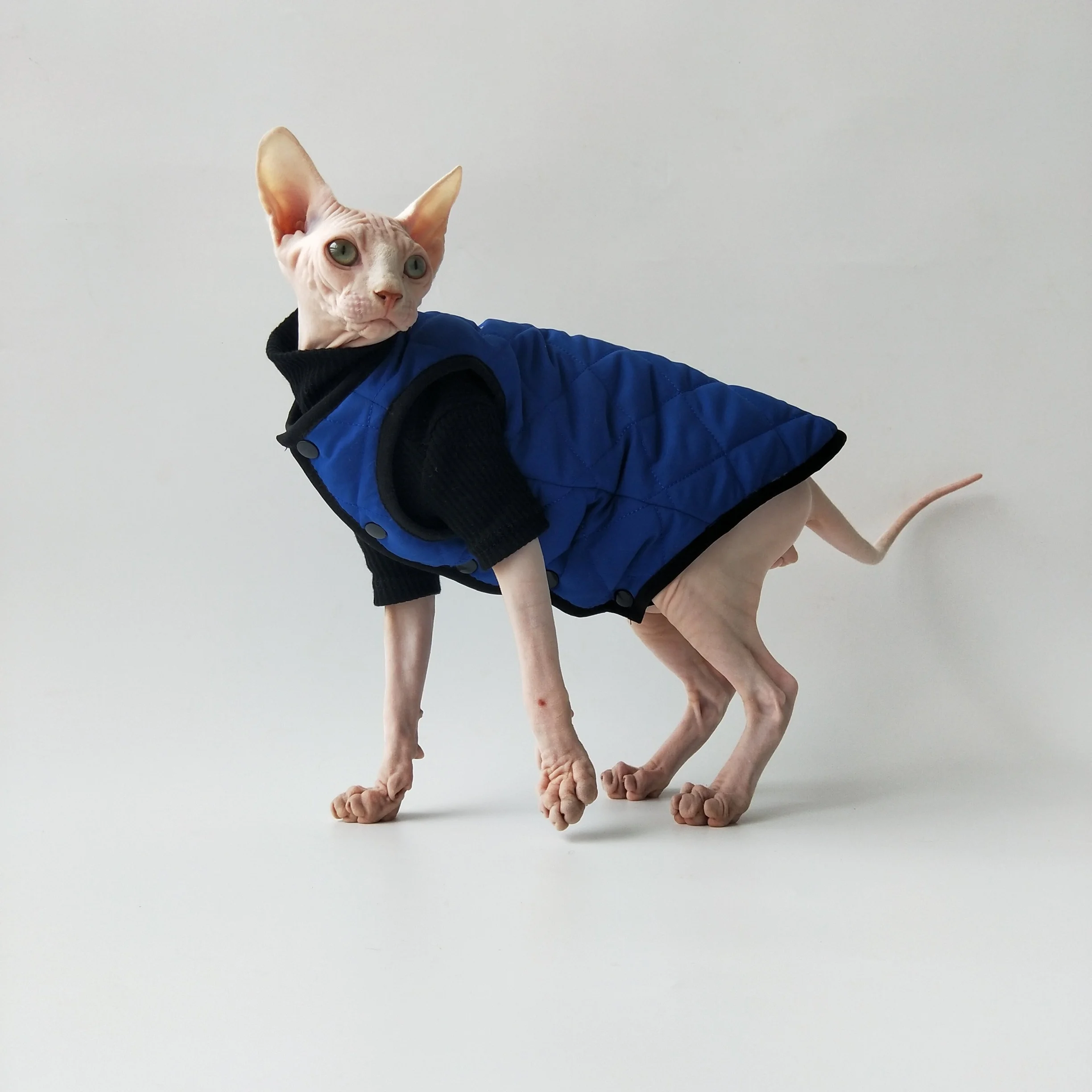 Chaleco con forro polar de algodón para gatos Sphynx otoño invierno