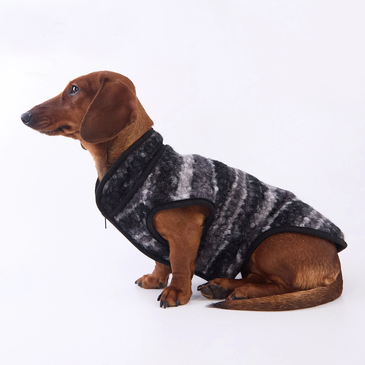 Abrigo forro polar para perro salchicha – Cálido invierno - imagen 5