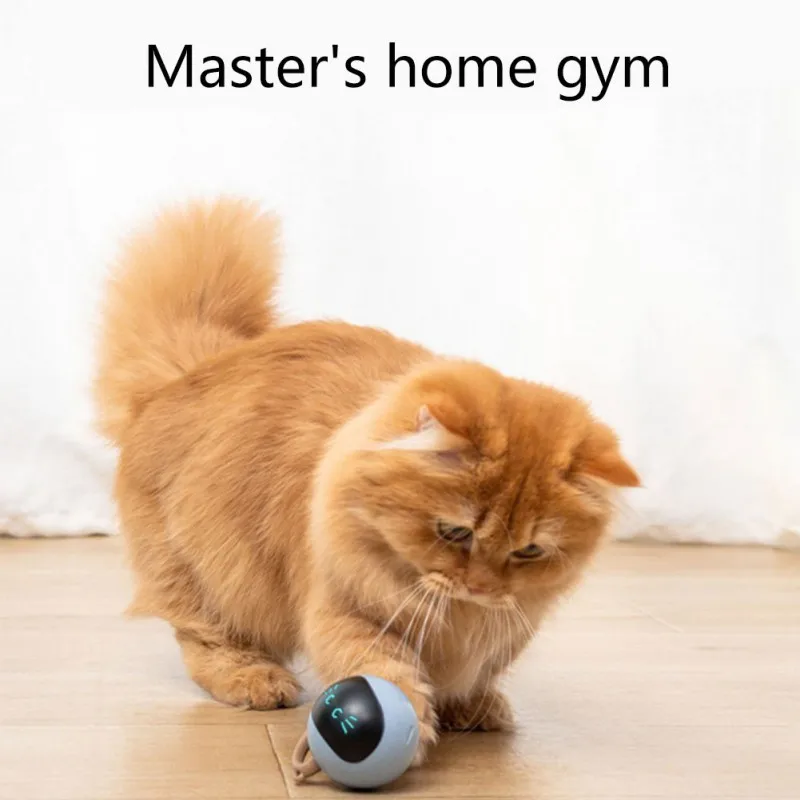 Juguetes eléctricos inteligentes para gatos, bola rodante automática, juguetes interactivos para gatos, entrenamiento, juguetes para gatitos con movimiento, accesorios para mascotas - imagen 2