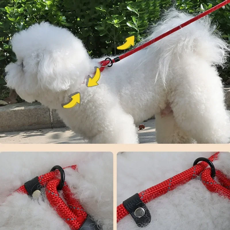 Correa reflectante para perro, correa ajustable de nailon, mango suave, 150cm - imagen 2