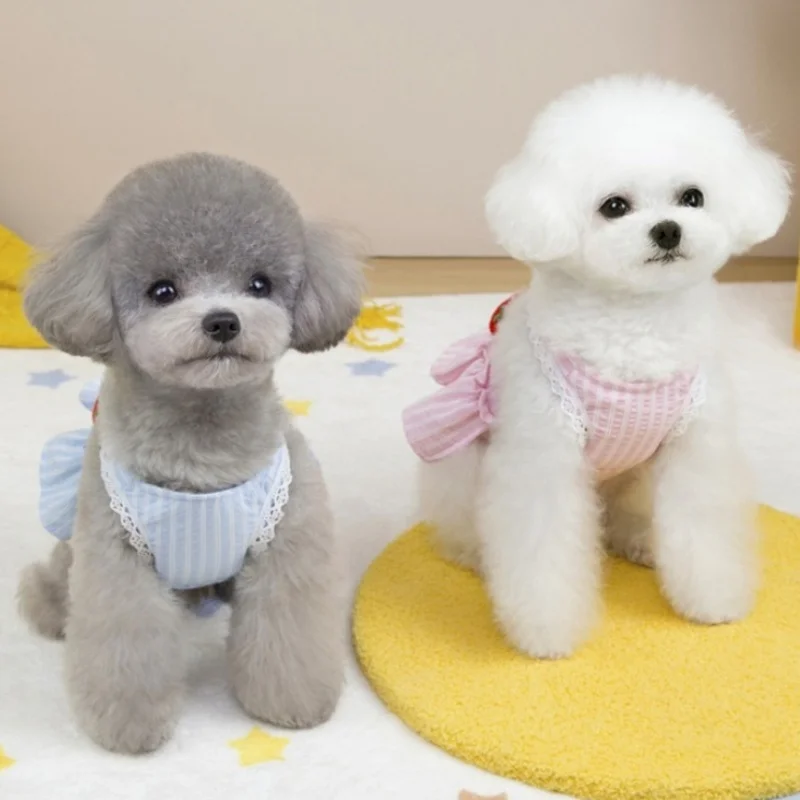 Conjunto vestido lujo perro estampado fresa y arnés chaleco gato