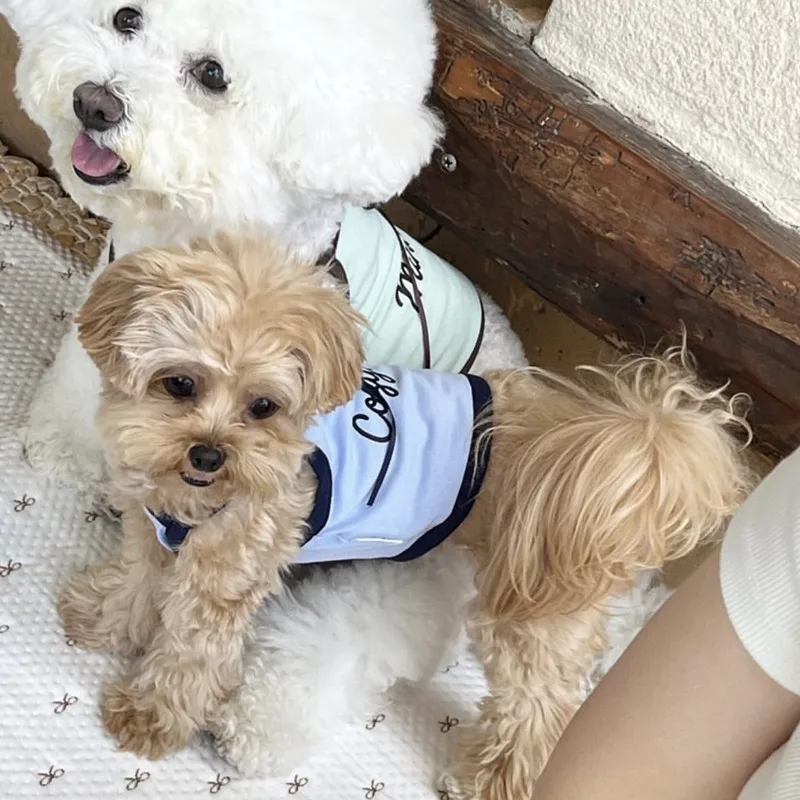Camiseta algodón verano para perros pequeños - Yorkshire, Bichón y Teddy - imagen 4