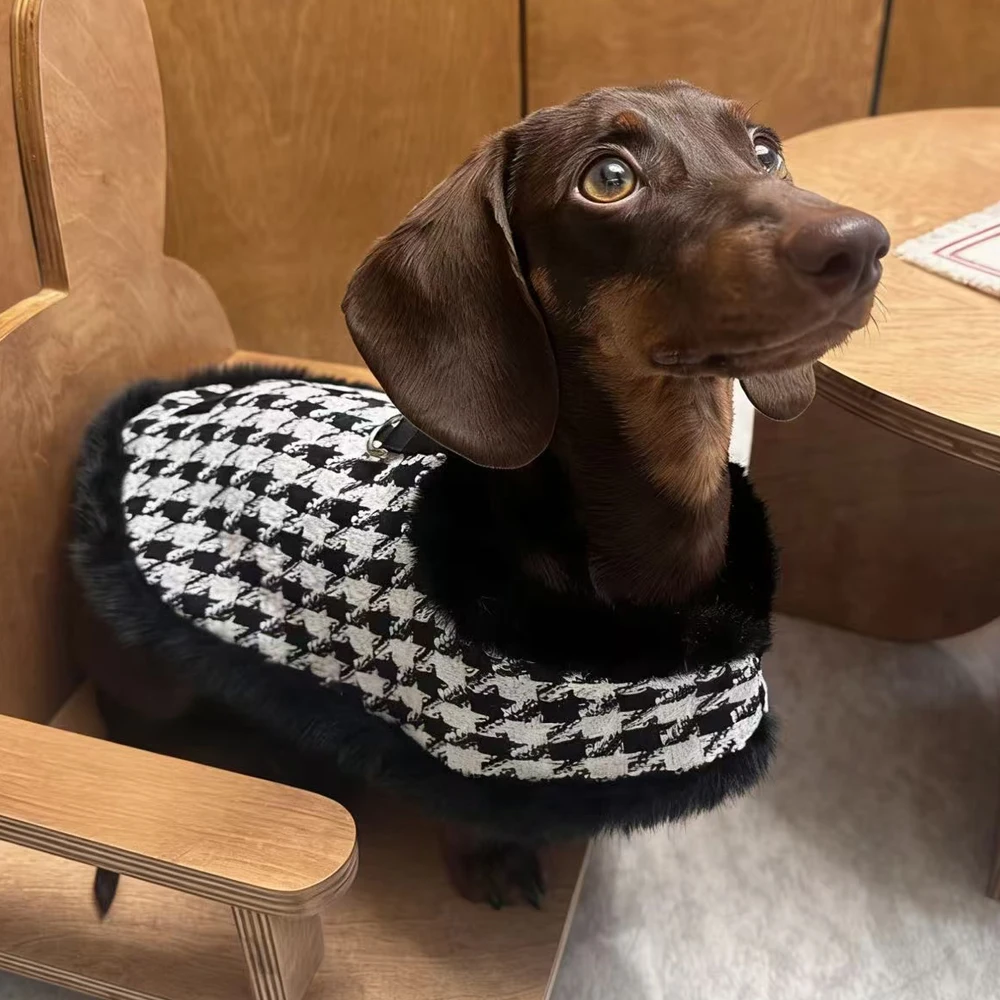 Abrigo invierno perro mini pata de gallo blanco y negro con sombrero - imagen 5